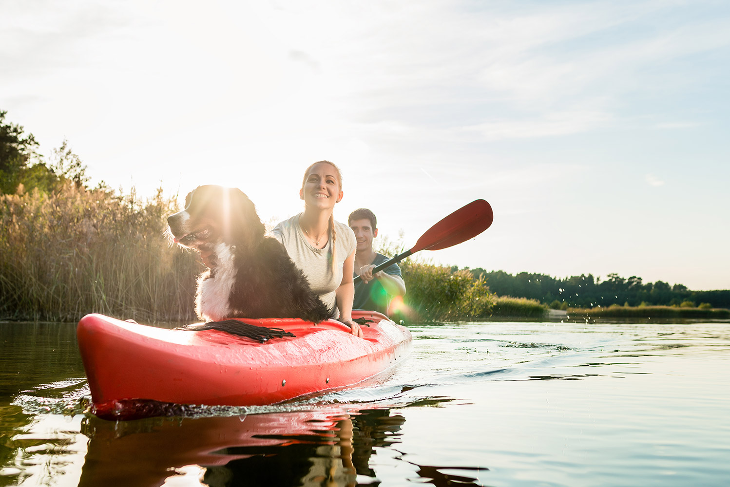 kajakfahren-mit-hund.jpg