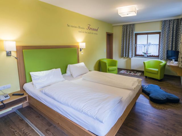 Hotel Grimming dogs & friends