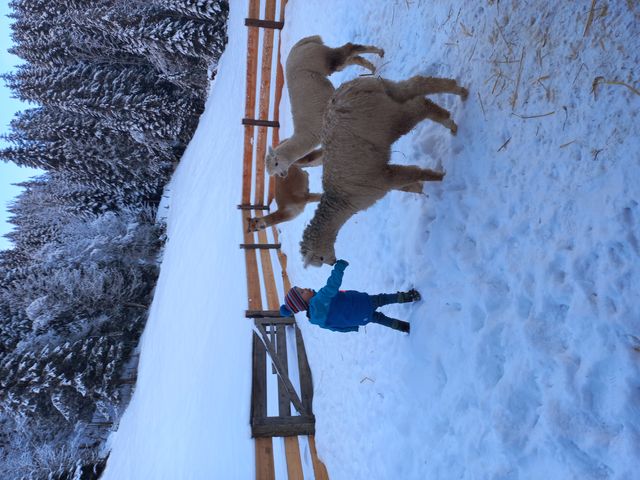 Ferienwohnungen Steinhäusl